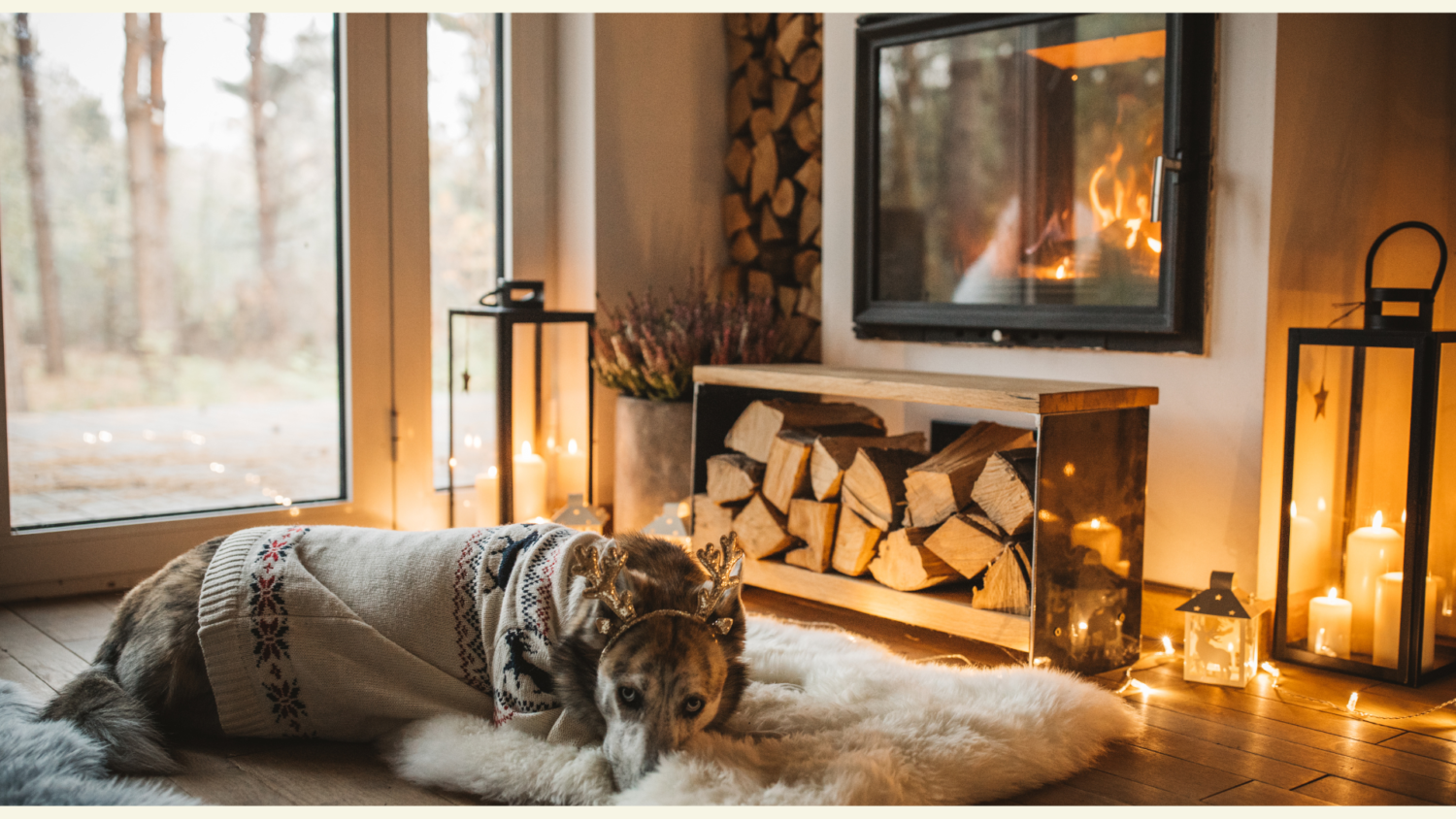 冬（12月・1月・2月）のリノベーション