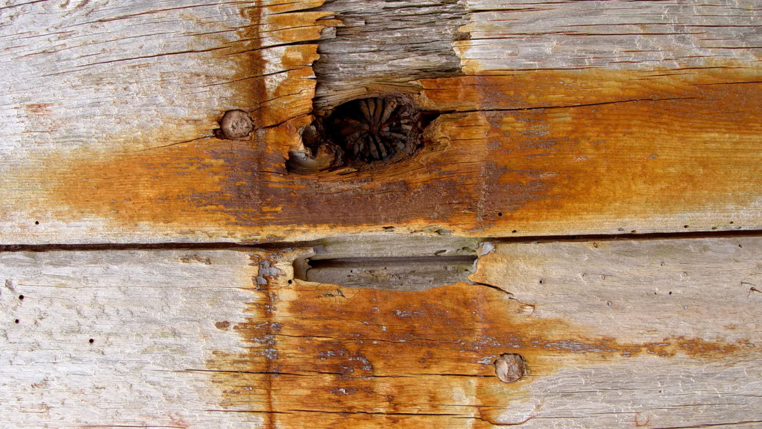 厚木・海老名エリア特有のリスクと「見えない劣化」