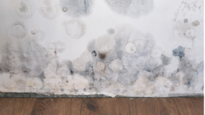 使われていない部屋の隠れた劣化