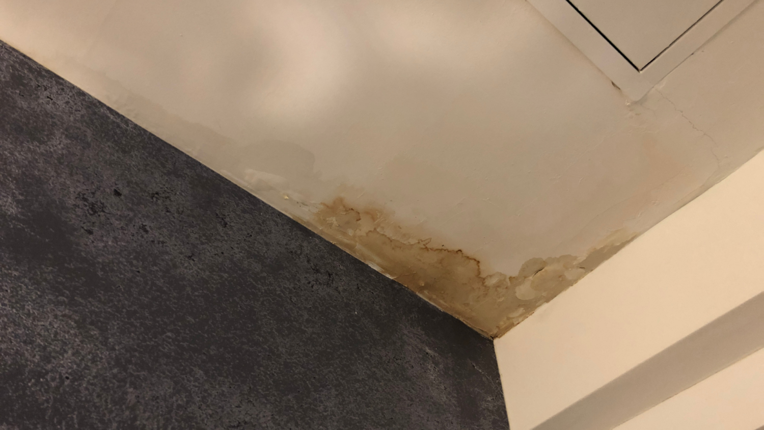 外壁だけじゃない!築30年で絶対に確認すべき「屋根の雨漏り」リスク