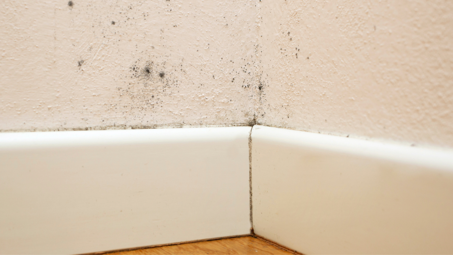 厚木・海老名エリアの気候と築30年の家が抱える特有のダメージ