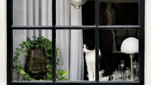 猫窓