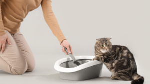 猫トイレ